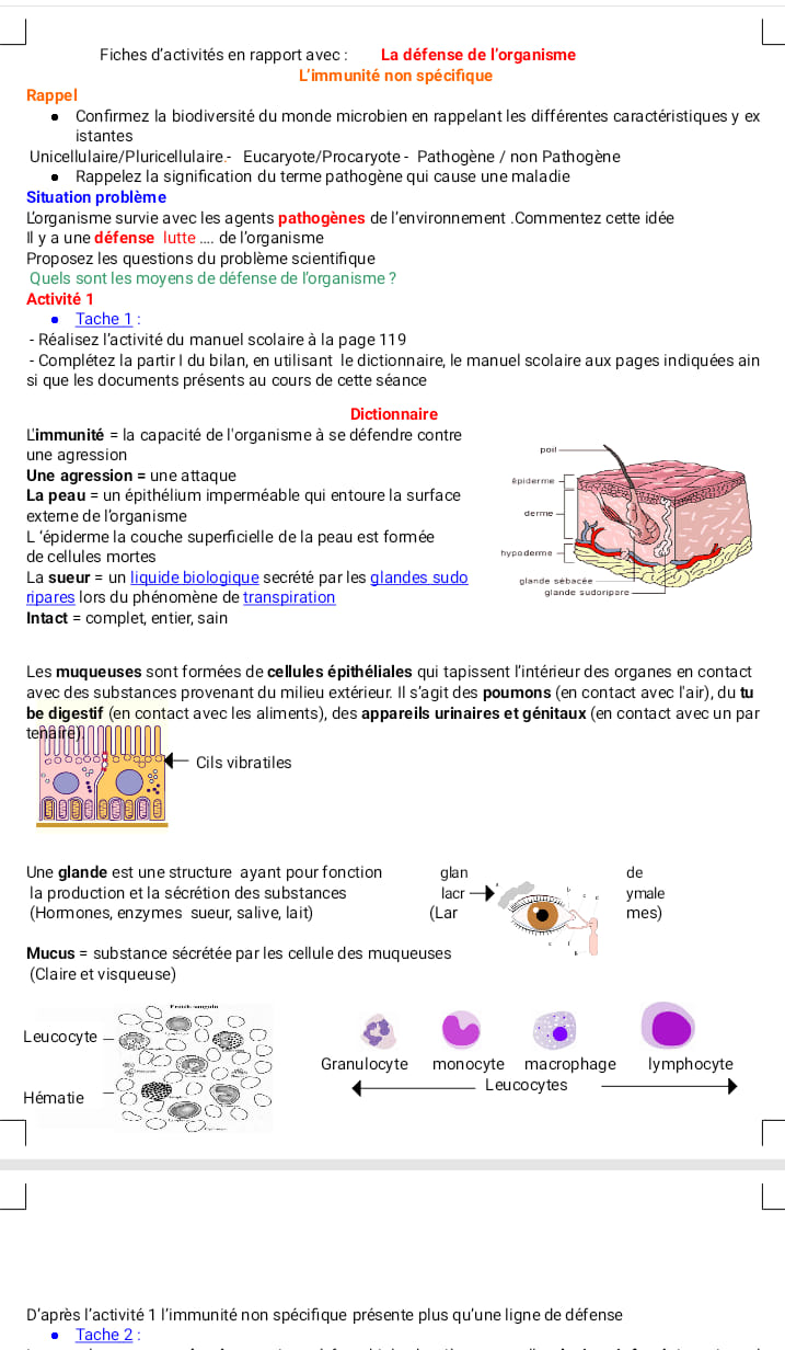 1ère année secondaire Sciences SVT svt