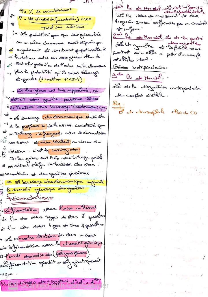 Bac Sc expérimentales Sciences SVT resume science toute l annee