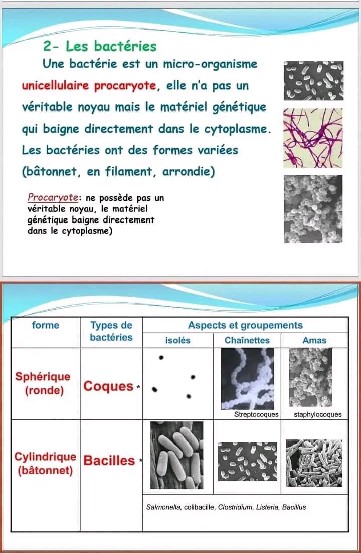 Re Ann E Secondaire Sciences Svt Diversit Du Monde Microbien Re