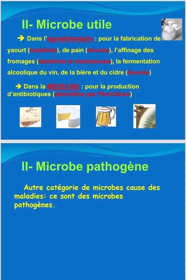 Re Ann E Secondaire Sciences Svt Diversit Du Monde Microbien Re