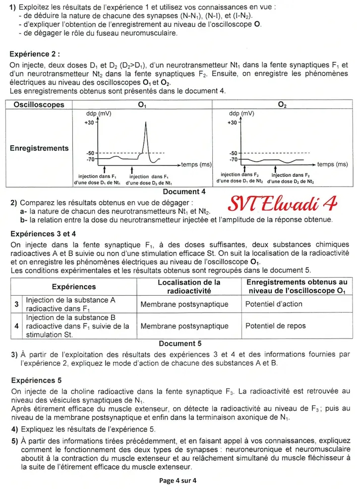 Bac Sc Exp Rimentales Sciences Svt Bac Svt Session Principale