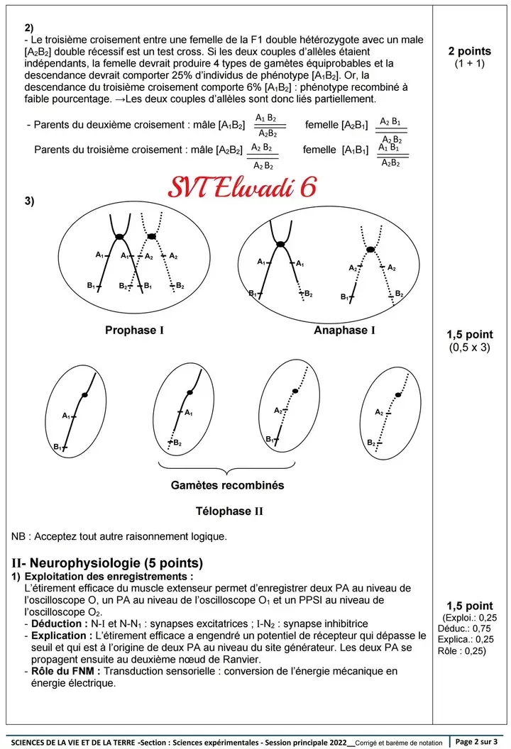 Bac Sc expérimentales Sciences SVT Bac SVT Session principale 2022