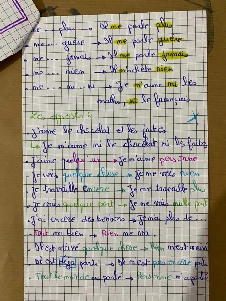 Bac Lettres Français Français