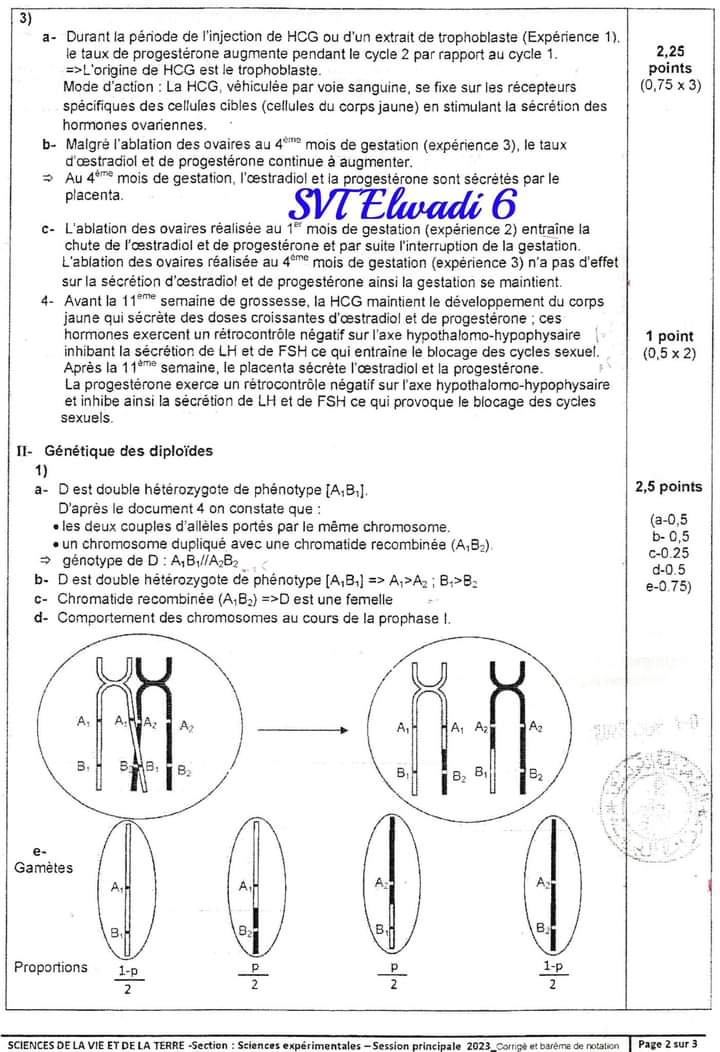 Bac Sc Expérimentales Sciences SVT Sujet Corrigé SVT Bac Sc Exp 2023 ...