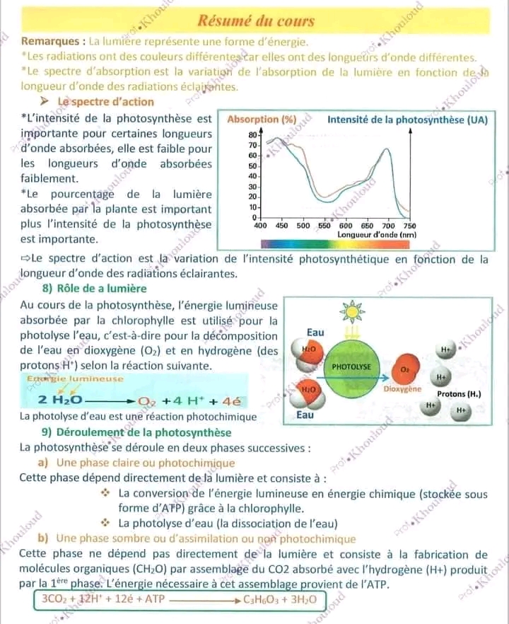 Re Ann E Secondaire Sciences Svt Resume Cous Sciences