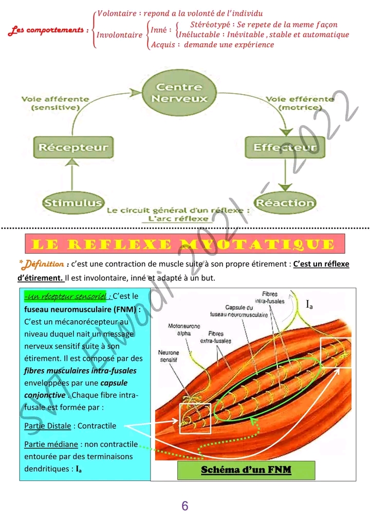 Me Sc Exp Rimentales Sciences Svt Neuro L Essentiel