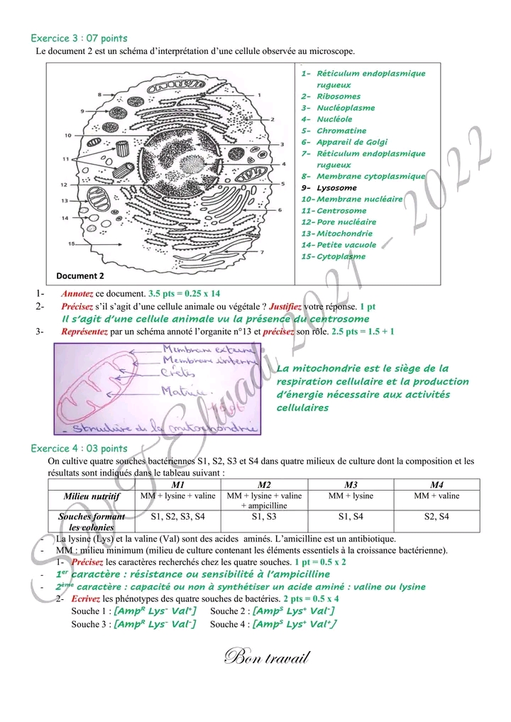 Me Sciences Sciences Svt