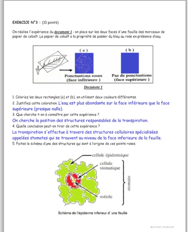 1ère Année Secondaire Sciences SVT-Devoirs De Contrôle Sciences SVT ...