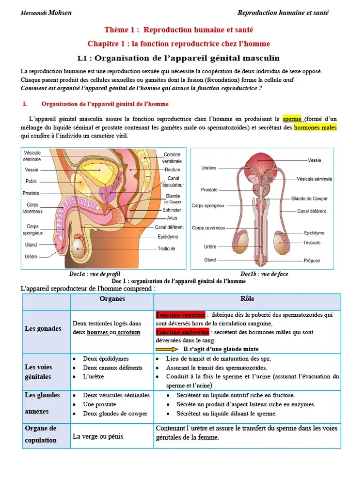 Bac Sc Expérimentales Sciences Svt Cours 1 Bac Svt La Fonction Reproductrice Chez Lhomme 7795