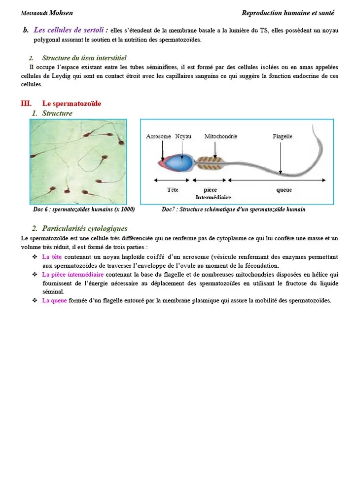 Bac Sc Expérimentales Sciences SVT Cours 1 Bac Svt : La Fonction ...