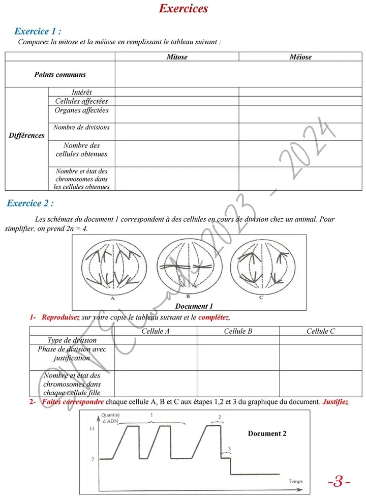 Bac Sc Expérimentales Sciences Svt Bac 2024 Sujet De Révision N1 Mitose And Méiose 6778