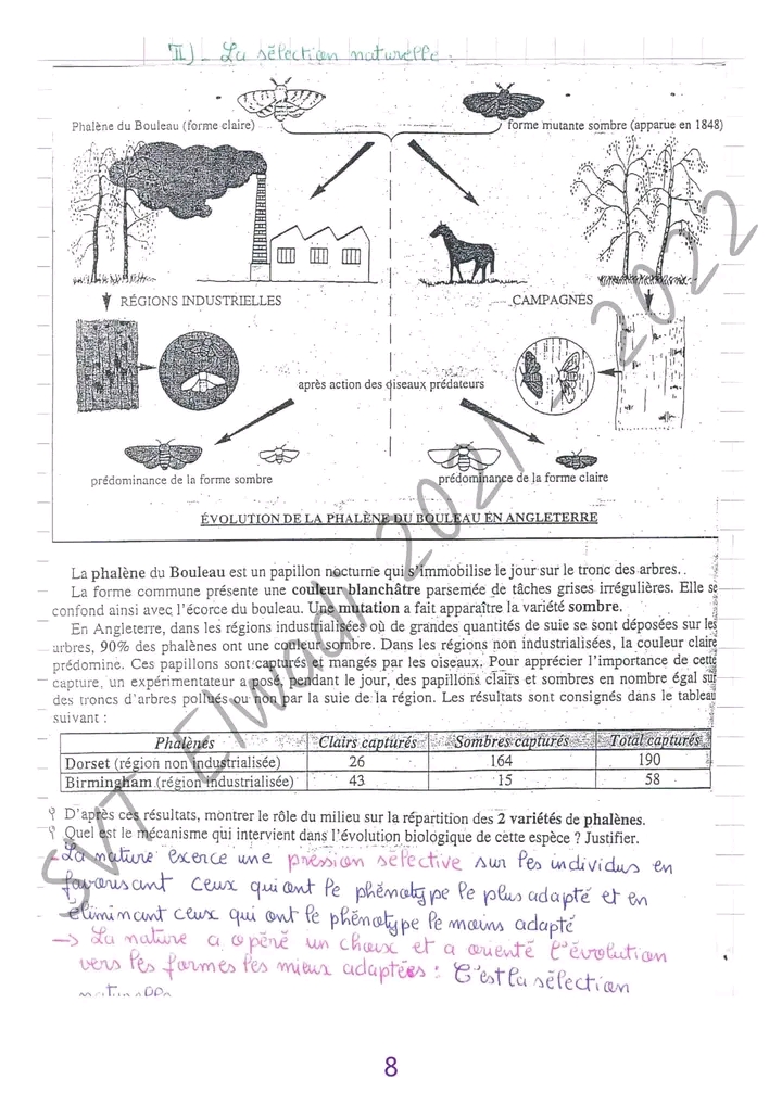 Bac Sc Expérimentales Sciences Svt Cours évolution Bac Sciences