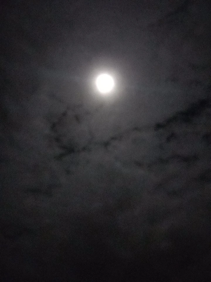 Photo de Lina belhaj 