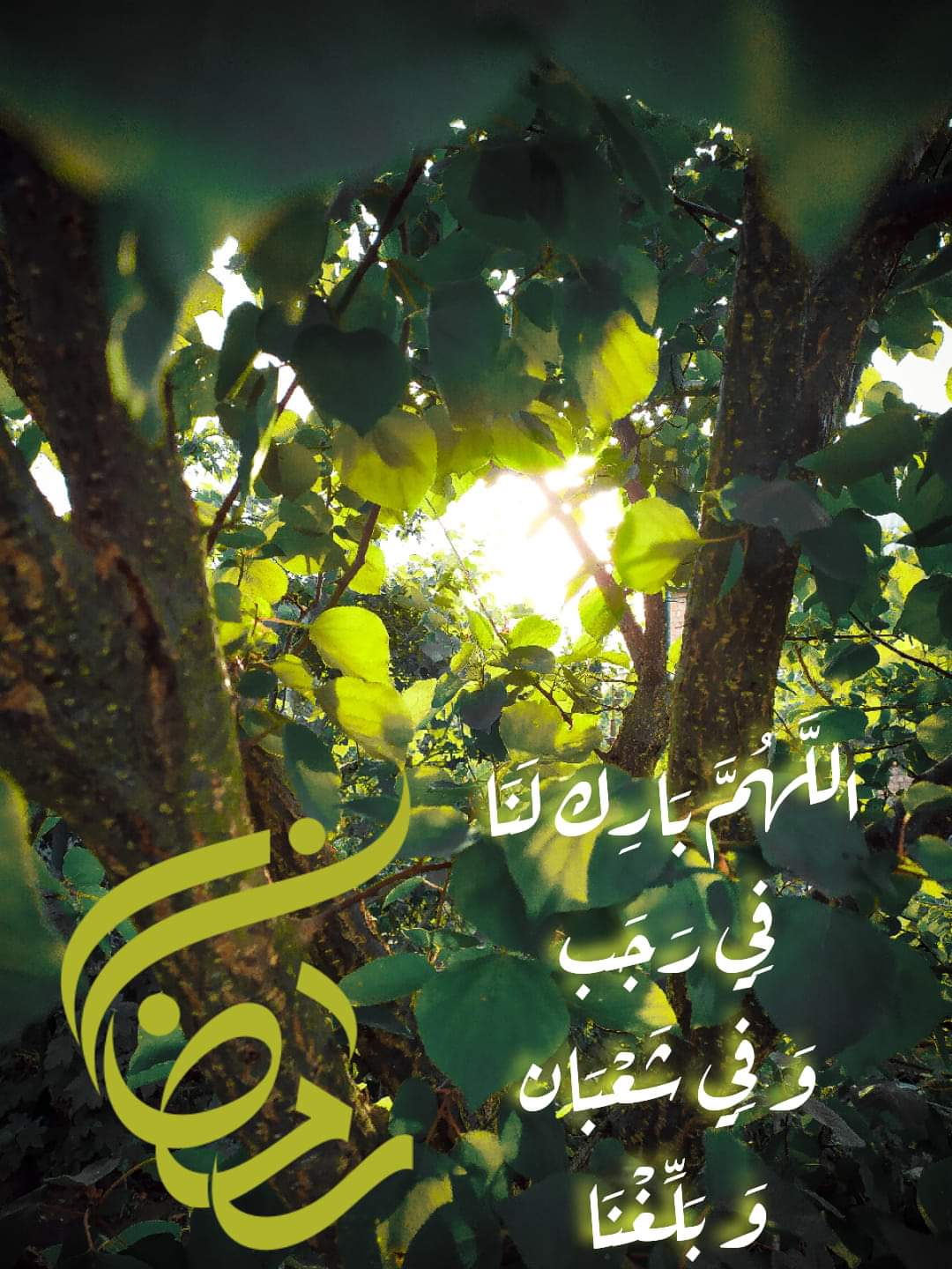 Photo de Ben Salem marwa